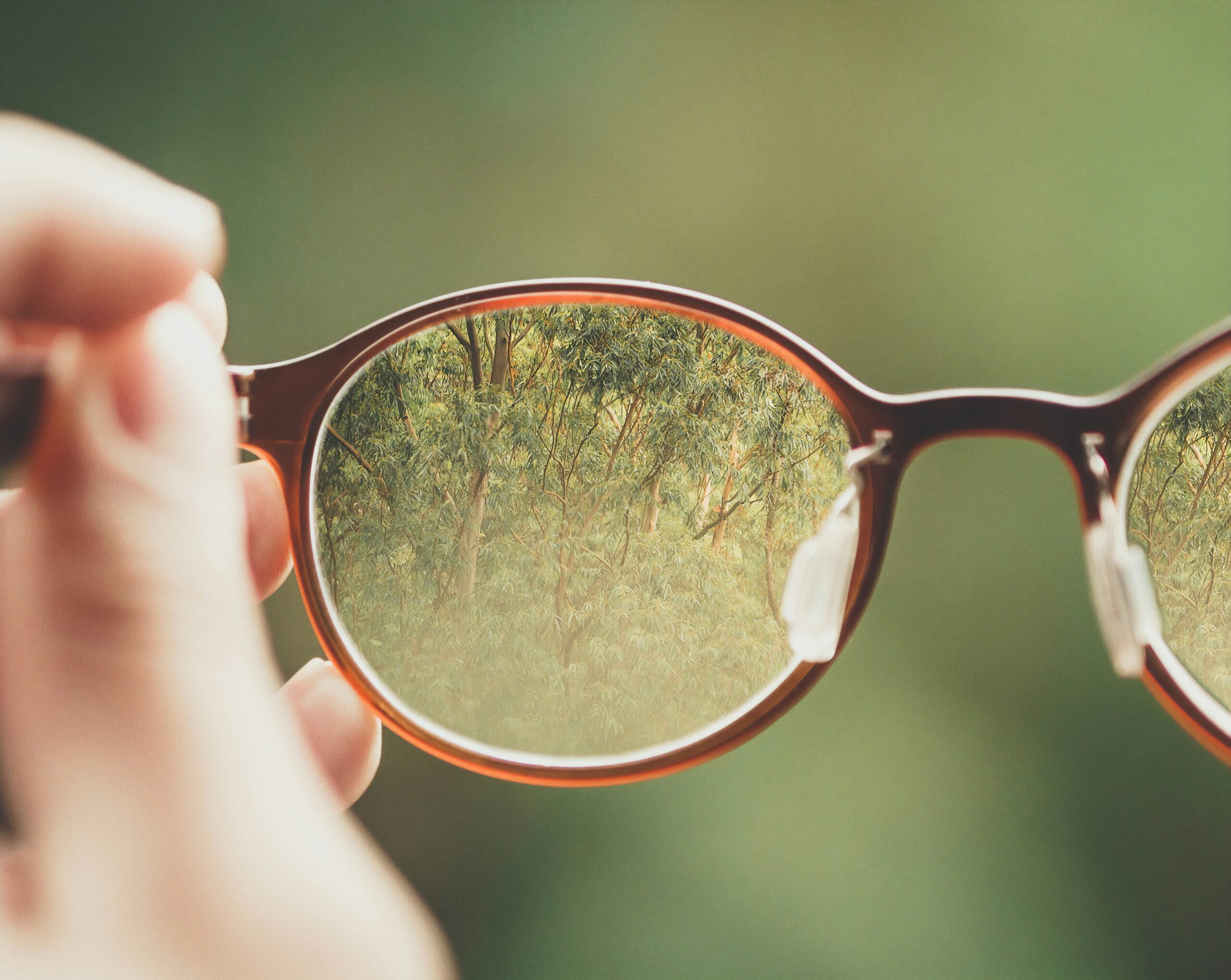 Photo de Bud Helisson sur Unsplash